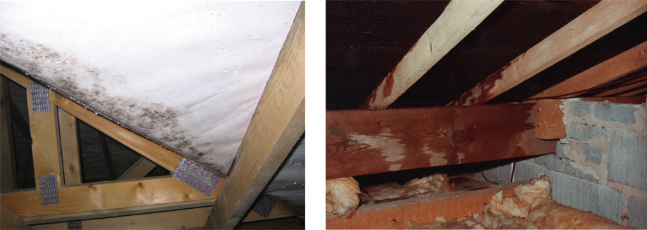 Mould and wet rafters caused by condensation
